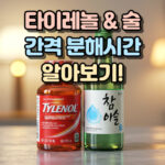 타이레놀 술 간격 분해시간 건강 대표 썸네일