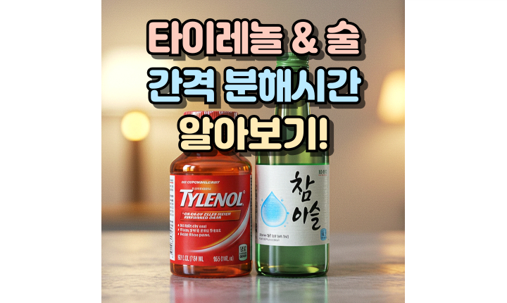 Read more about the article 타이레놀 술 간격 분해시간! 건강을 위해 이것만은 꼭