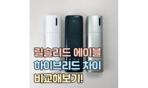 Read more about the article 릴 솔리드3 에이블 에이블 이지 하이브리드 차이 비교