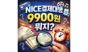 Read more about the article NICE결제대행 9900원 어디서 결제됐는지 조회방법