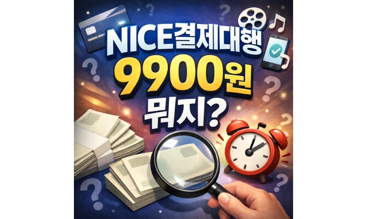 Read more about the article NICE결제대행 9900원 어디서 결제됐는지 조회방법
