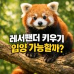 래서팬더 키우기 랫서판다 렛서팬더 입양 가능할까 대표 썸네일