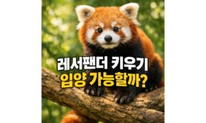Read more about the article 래서팬더 키우기 랫서판다 렛서팬더 입양 가능할까?